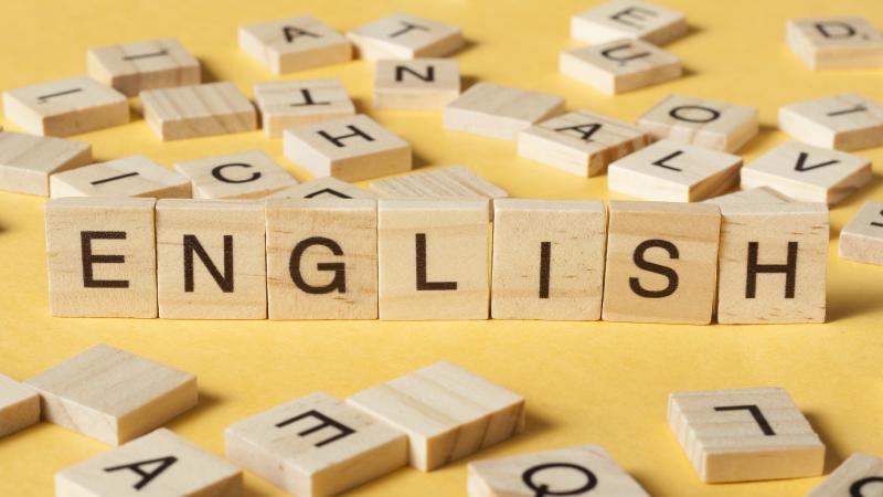 Cursos de inglés pre-grabados o clases de inglés particulares ¿Cuál elegir?